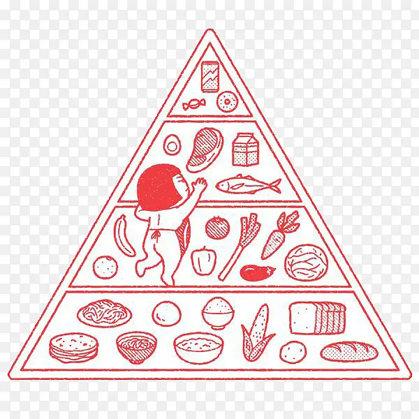 �����������ʳ��-������