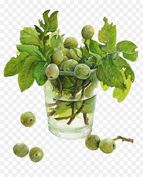 ��ͨ÷��ƿ��-������