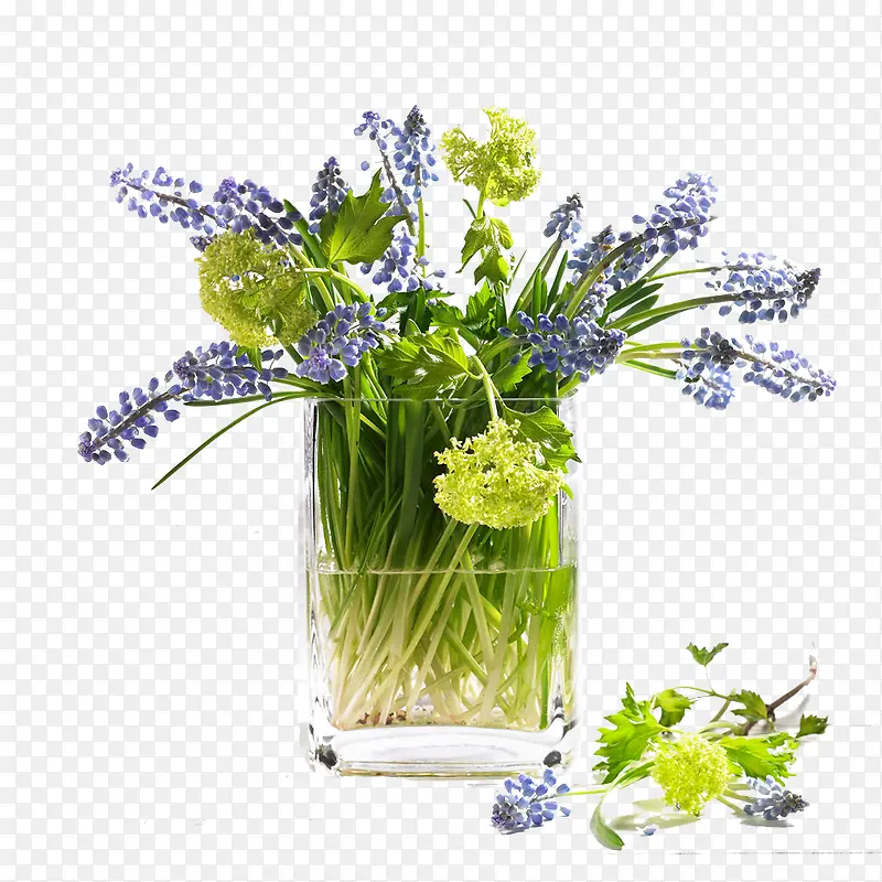 ����ƿ޹�²�-������