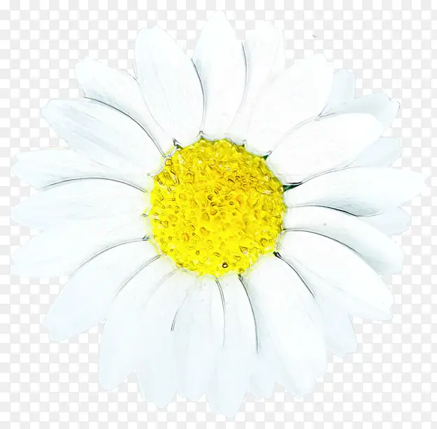 ��ɫ�ֻ��ɫ����-������