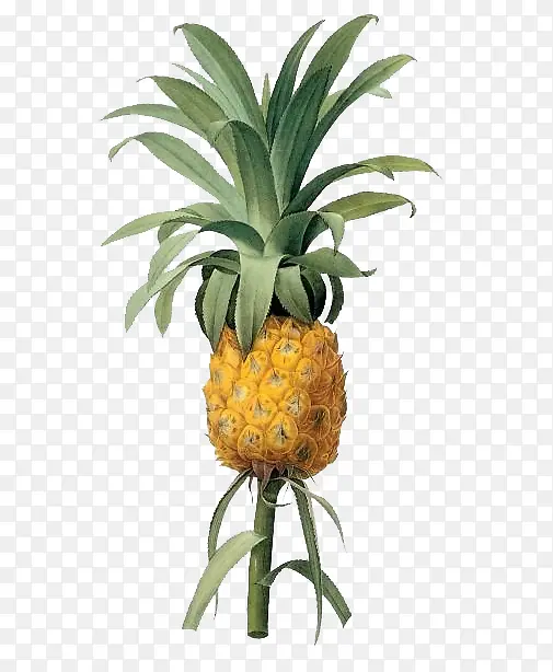 �����ʦ�ֻ沤��-������