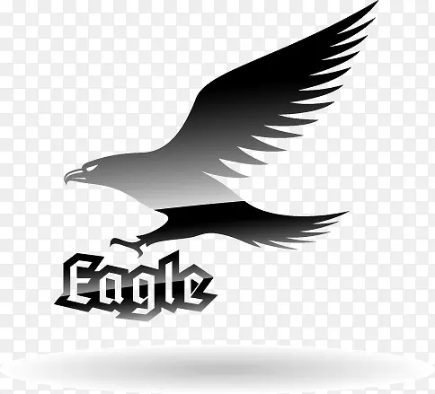 ����ӥ��ǩʸ���ز�-������