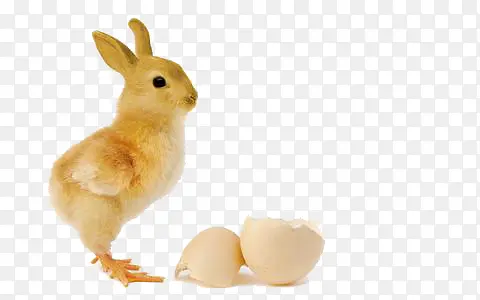 ���⼦��-������