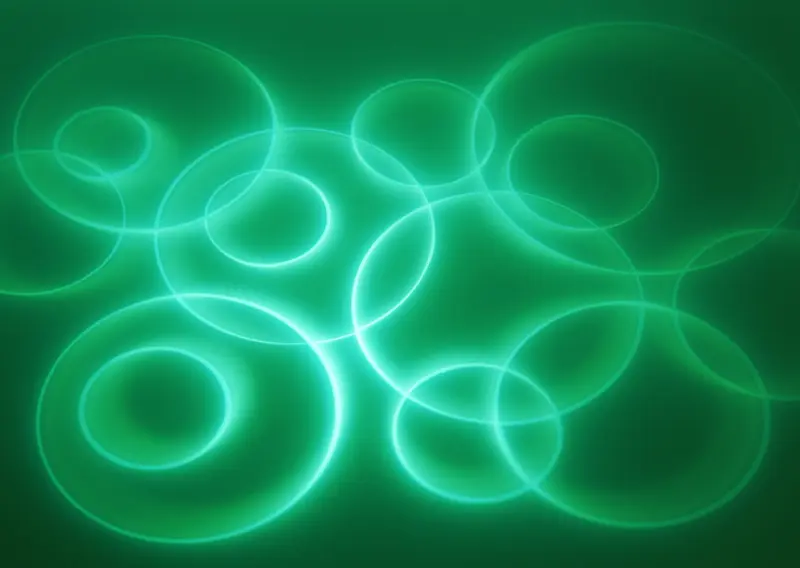 IT�����ز�097-������