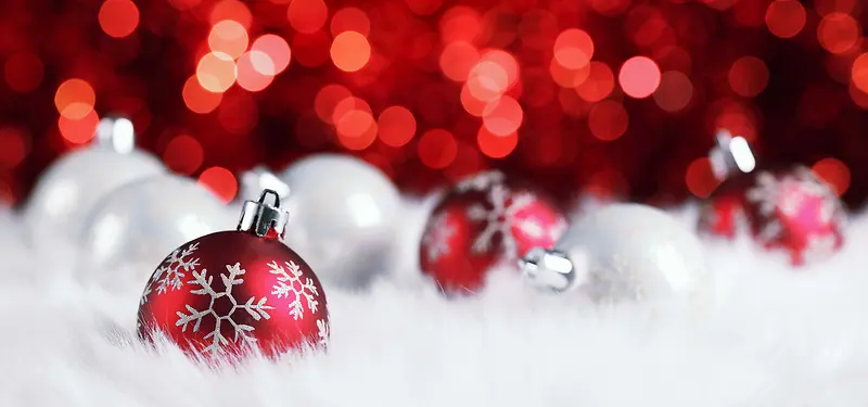 ʥ���ڱ���-������