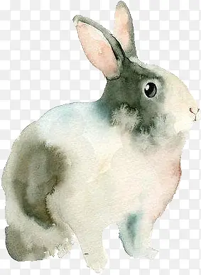 ���� ����-������