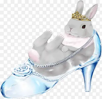 ���� ����-������