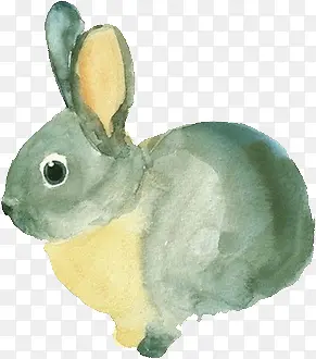 ���� ����-������