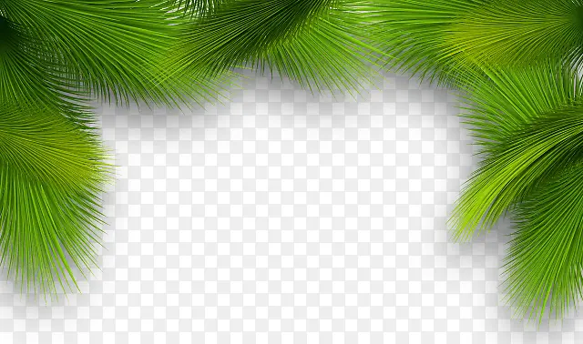 ʥ������֦-������