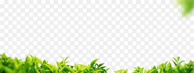 ��֦-������