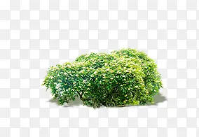 ��ľ-������