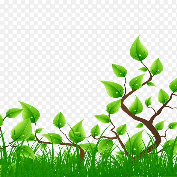 ����Ҷ��-������