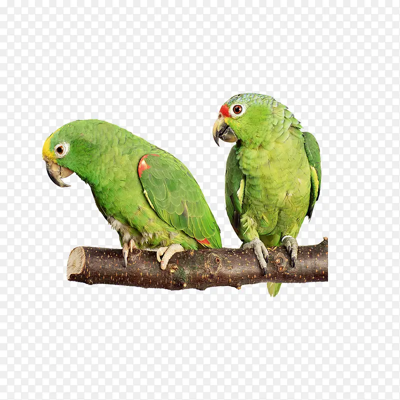 ��������-������