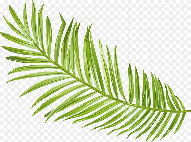 ��ɫ��ֲ֦������-������