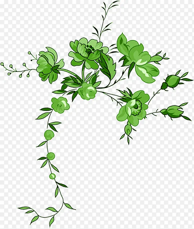 ��ɫ��ͨ������֦-������