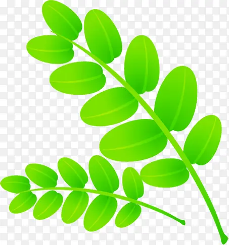 ��ɫ��ͨ������֦-������