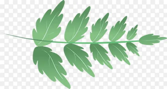 ��ɫ��֦��ƿ�ͨ-������