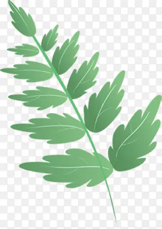 ��ɫ��ͨ��ľ��֦-������