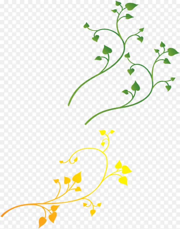 ��ɫ��ͨ��ˬ������֦-������