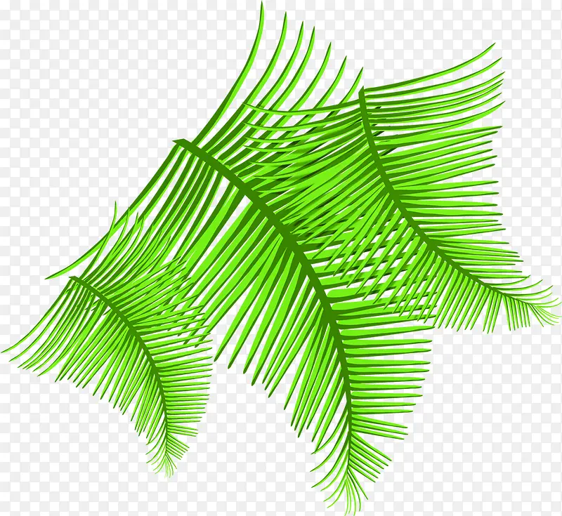 ��ɫ��ͨ��ˬ�����֦-������