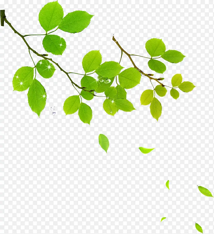 ��ɫʱ��������֦-������