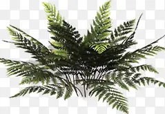 ��ɫ��ˬ��֦װ��-������