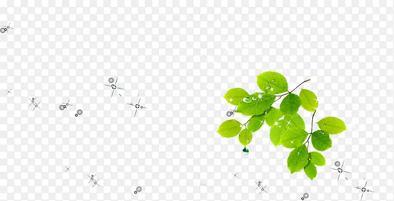 ��ɫ��Ҷ��֦װ���ǹ�-������