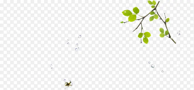 ��ɫ��ͨ������֦-������