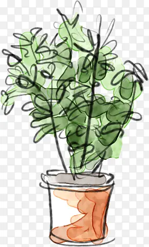 ��ɫ��֦��������-������