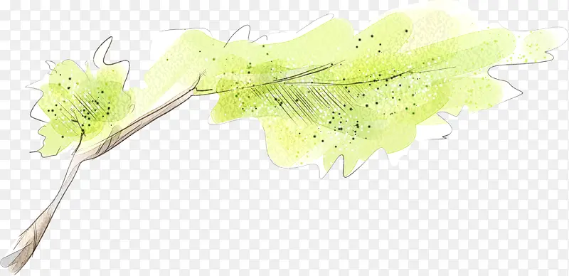 ��ɫ������֦����-������