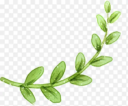 ��ɫ���¿�ͨ��ֲ֦��-������