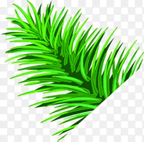 ��ɫ��ͨ��֦����-������