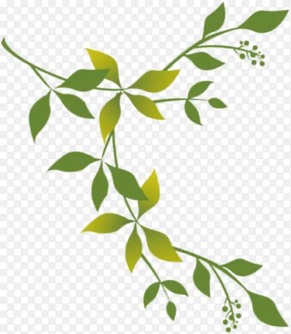 ����ɫ��Ҷ��֦װ��-������