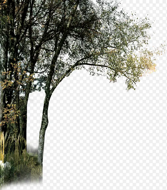 ��ɫ��֦��ʽ������-������