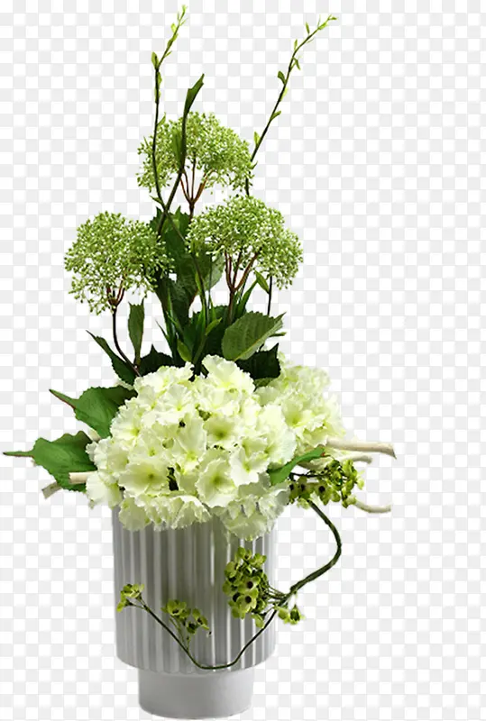 ��ɫ������֦����-������