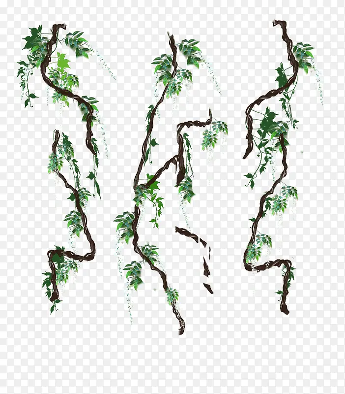 ���崴��Ԫ����ɫ��֦-������