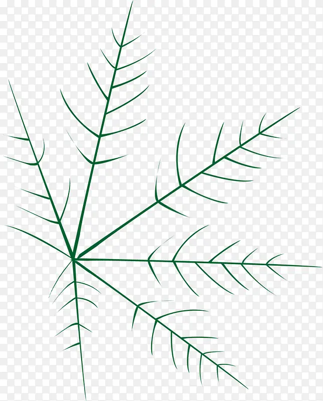 ��ɫֲ����֦����ʻ�-������