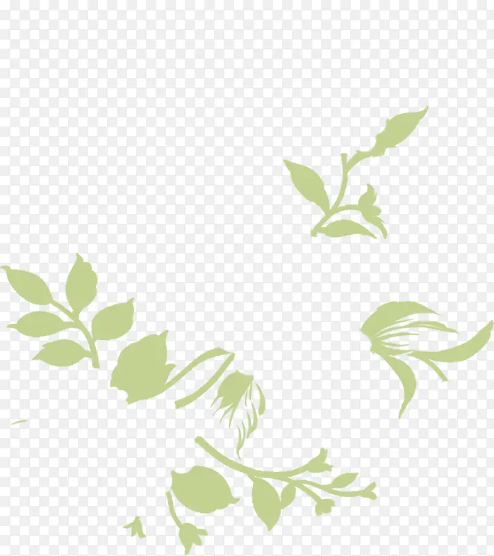 ��֦��Ҷ��ɫҶ�������-������