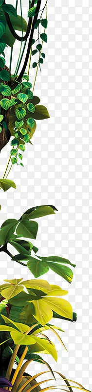 �����ɫ��Ҷ��֦-������