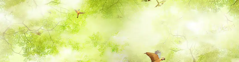 ����banner-������