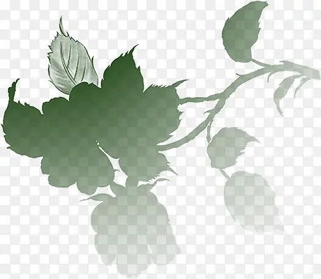 ��Ũ������ɫ��֦����-������