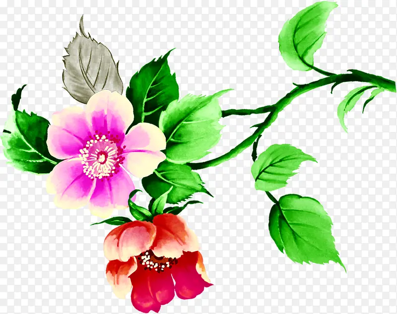 �������ڻ�����ɫ��֦Ҷ��-������