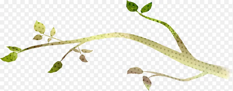 ��ɫ��֦��Ҷ����-������