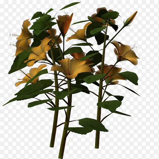 ��ɫֲ�ﻨ����֦-������