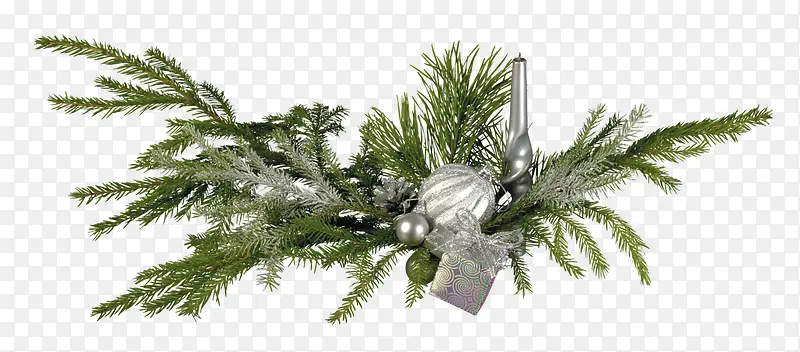 ��֦��ɫ��֦װ��-������