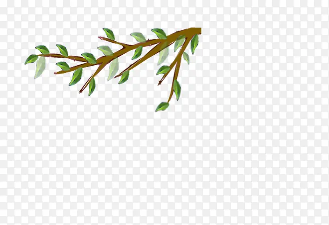 ��ɫֲ����֦-������