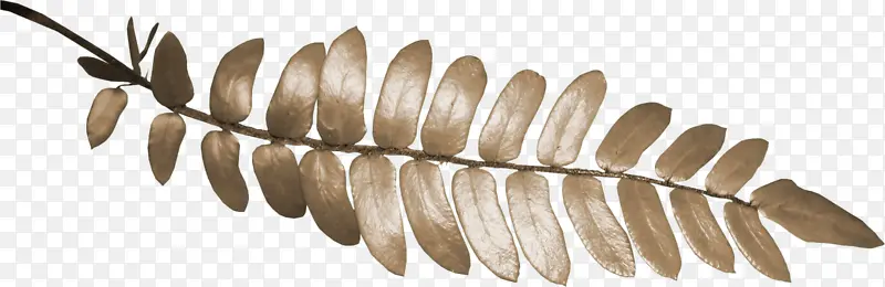 ��ɫ��֦��ɫҶ��-������