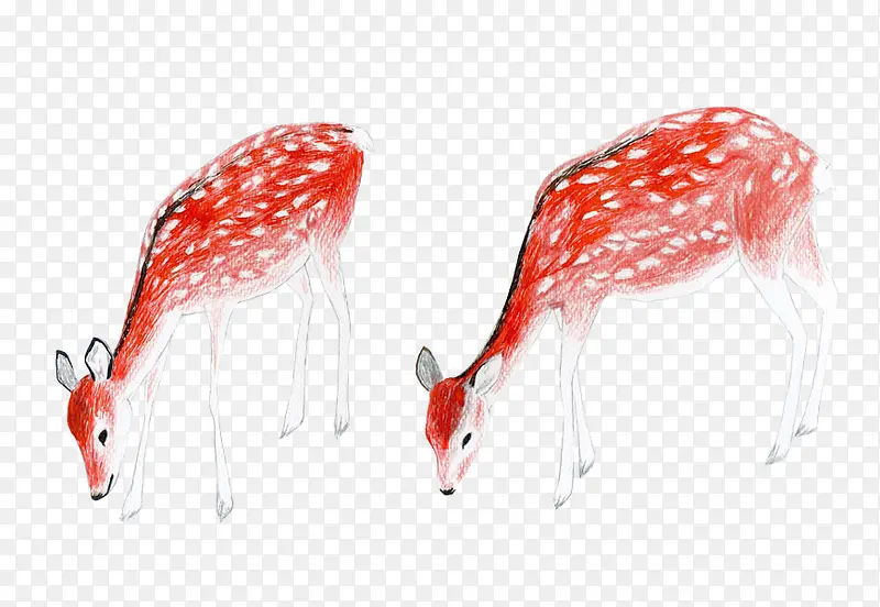 ��ͨ�ֻ泤��¹-������