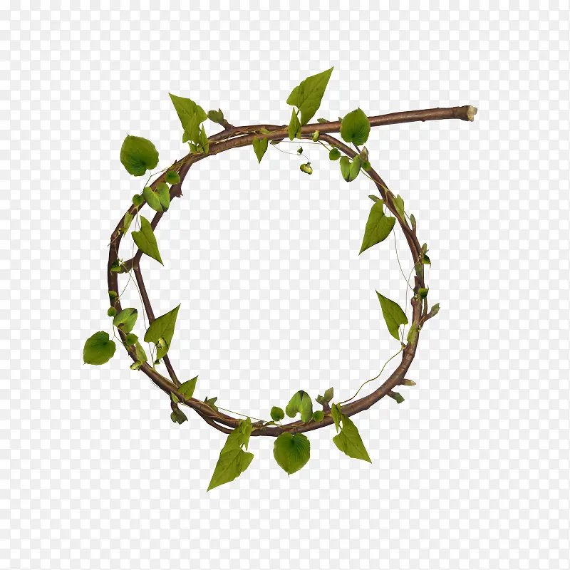 ��ɫ��֦����-������