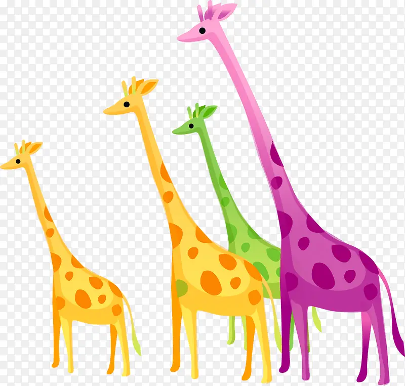 ��ͨ�ɰ�����¹-������